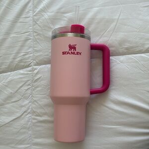Flamingo Pink 40oz Stanley Cup